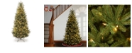 National Tree Company National Tree 6 .5' Natural Fraser Slim Fir Tree with 450 Clear Lights